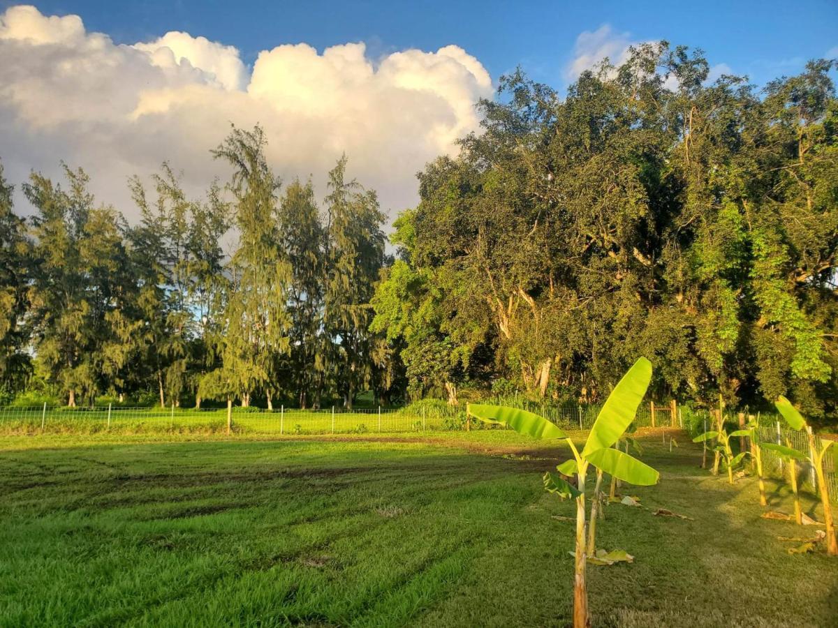 Maleka Farm: Tent Glamping North Shore Oahu Лаи Экстерьер фото